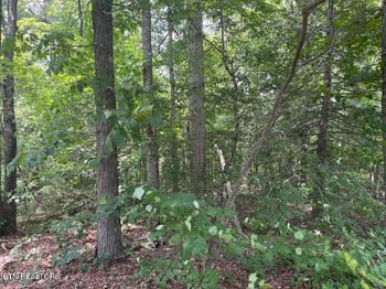 0 Lot 19 Somerset Ln, Sevierville, TN 37862