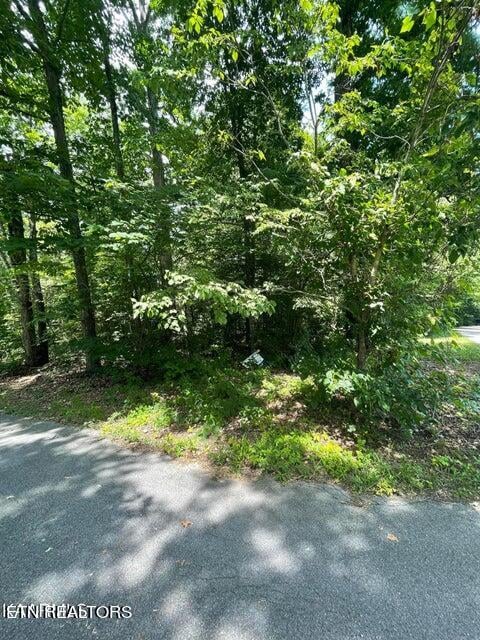 0 Lot 19 Somerset Ln, Sevierville, TN 37862