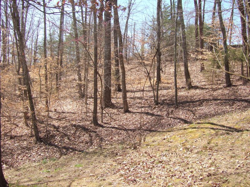 0 Lot 197 Lakeview Dr, Sharps Chapel, TN 37866