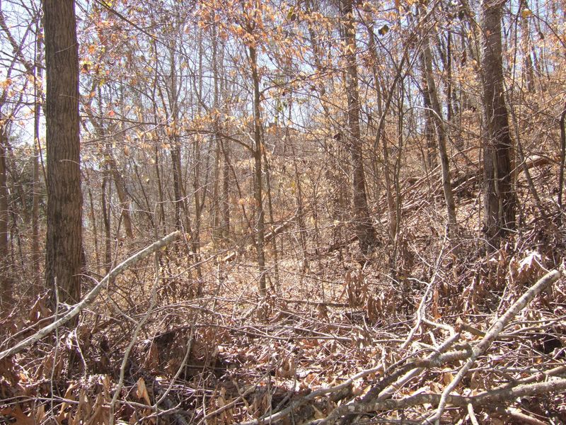 0 Lot 197 Lakeview Dr, Sharps Chapel, TN 37866