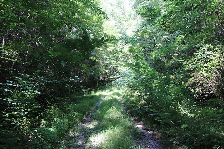 0 Lot 2 Boogertown Rd, Sevierville, TN 37876