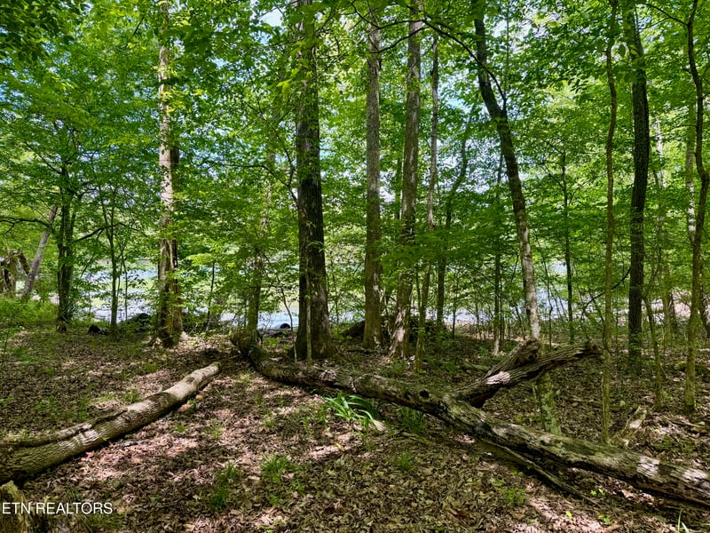 0 Lot 2 Eagle Ridge Rd, Kingston, TN 37763
