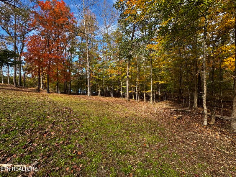 0 Lot 2 Eagle Ridge Rd, Kingston, TN 37763