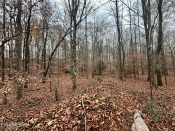 0 Lot 2 Evergreen Dr, Oneida, TN 37841