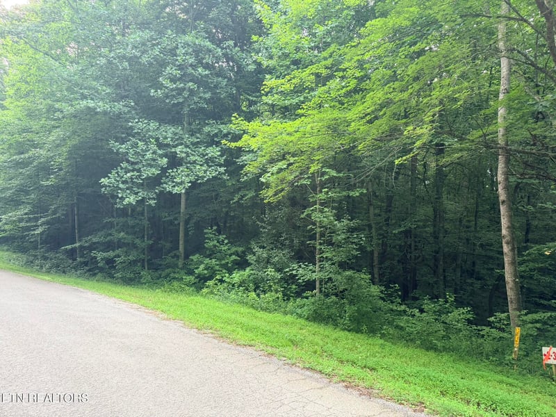 0 Lot 2 Evergreen Dr, Oneida, TN 37841