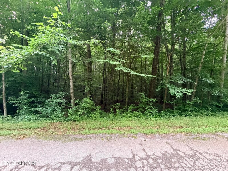 0 Lot 2 Evergreen Dr, Oneida, TN 37841