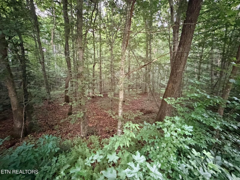 0 Lot 2 Evergreen Dr, Oneida, TN 37841