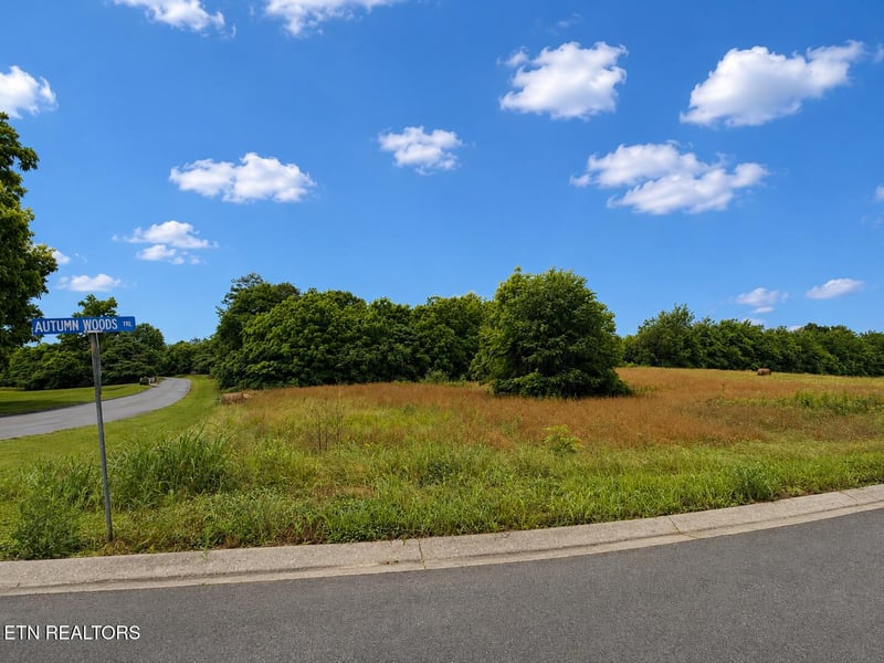 0 Lot 20 Autumn Woods Tr, Sweetwater, TN 37874