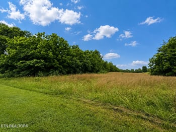 0 Lot 20 Autumn Woods Tr, Sweetwater, TN 37874