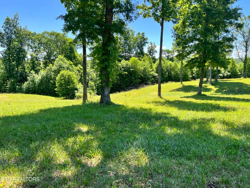 0 Lot 20 Bluff View Loop, Crossville, TN 38571