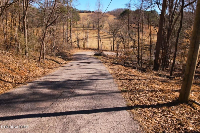 0 Lot 227 Auxier Dr, Jacksboro, TN 37757