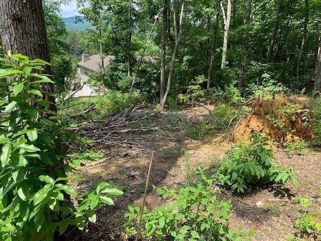 0 Lot 24 Pleasant View Ln, Sevierville, TN 37862