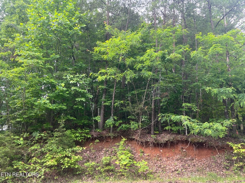 0 Lot 240 242 Laurel Mountain Rd, Madisonville, TN 37354
