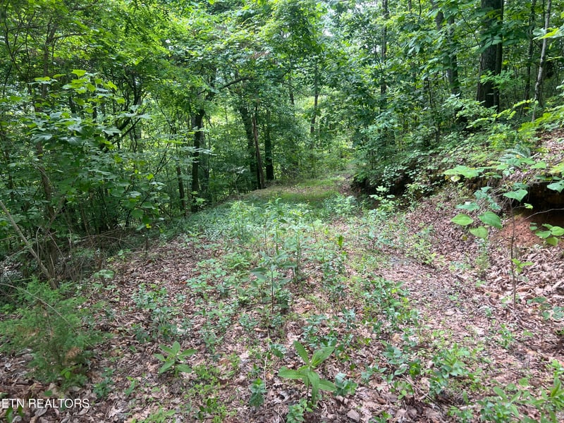 0 Lot 240 242 Laurel Mountain Rd, Madisonville, TN 37354