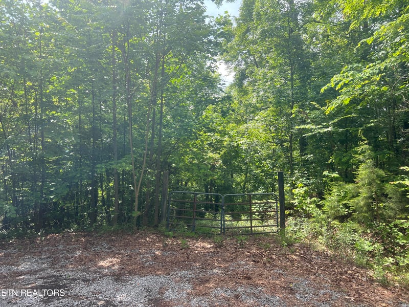 0 Lot 240 242 Laurel Mountain Rd, Madisonville, TN 37354