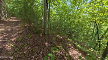 0 Lot 25 Shady Oaks Way, Sevierville, TN 37876