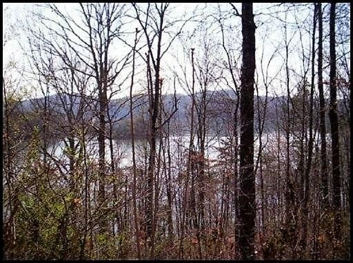 0 Lot 258 Big Ridge Pointe, Sharps Chapel, TN 37866