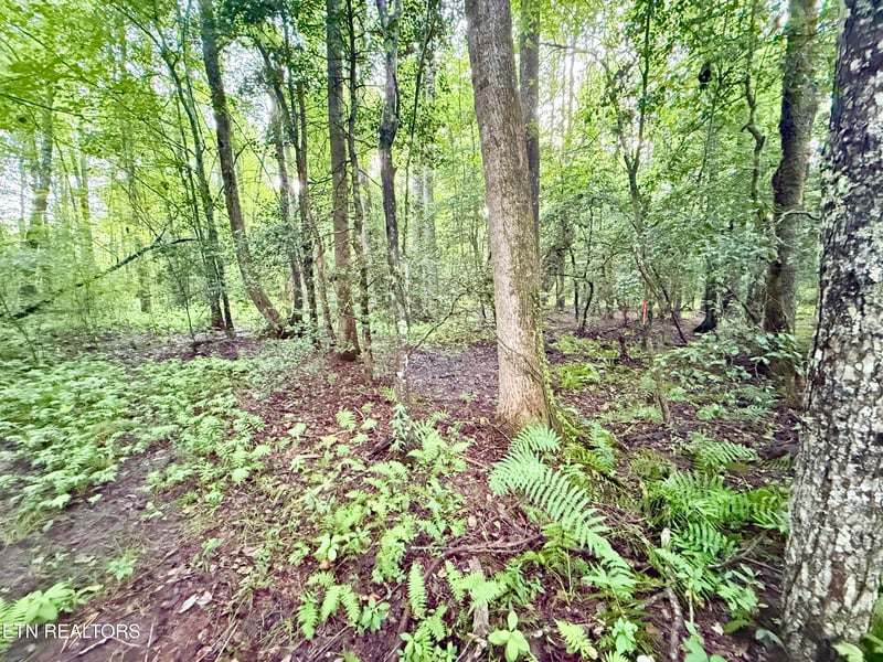 0 Lot 26 Airport Rd, Rockwood, TN 37854