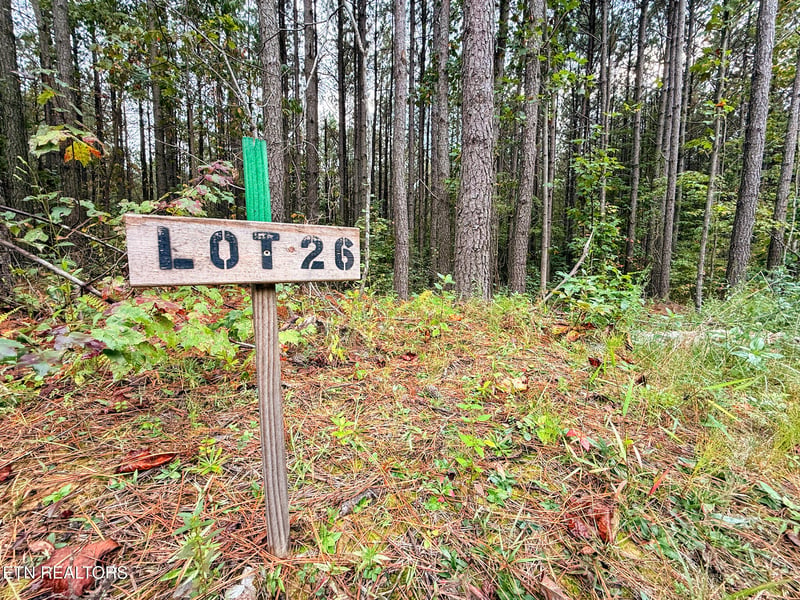 0 Lot 26 Airport Rd, Rockwood, TN 37854