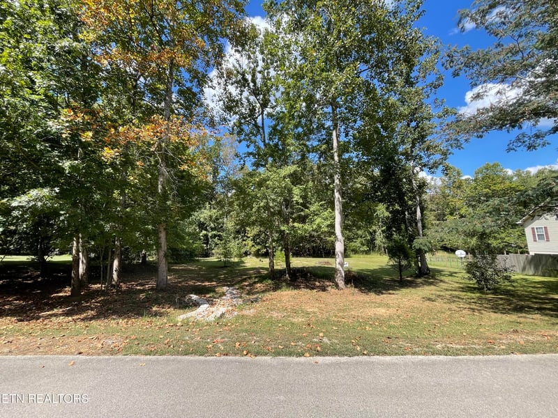 0 Lot 263 Pine Loop Dr, Madisonville, TN 37354