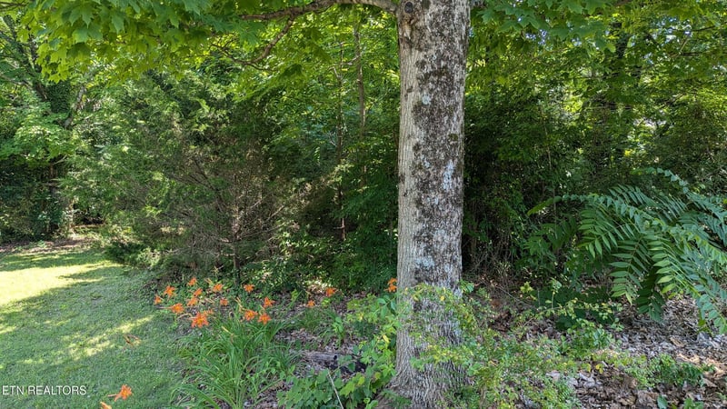 0 Lot 27 Cedar Ln, Knoxville, TN 37918