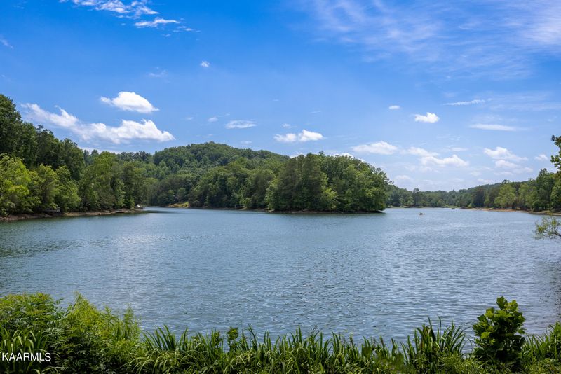 0 Lot # 290 Pine Loop Dr, Madisonville, TN 37354