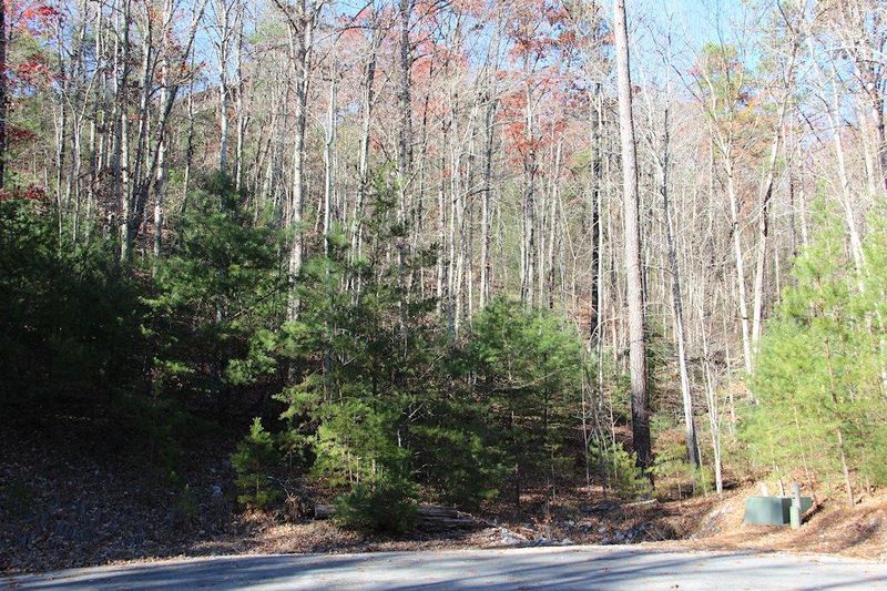 0 Lot 29e Cool Water Ln, Sevierville, TN 37862