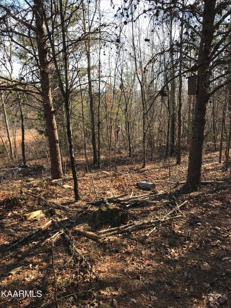 0 Lot 3 Curtis Rd, Tellico Plains, TN 37385