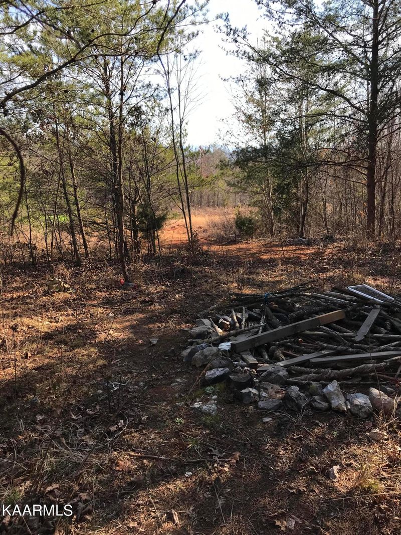 0 Lot 3 Curtis Rd, Tellico Plains, TN 37385