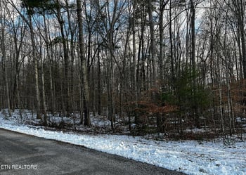 0 Lot 3 Evergreen Dr, Oneida, TN 37841