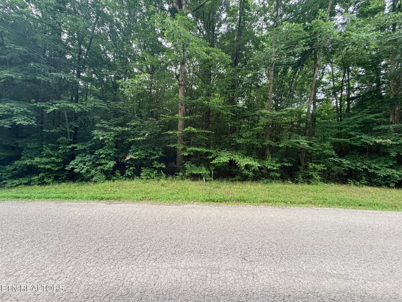 0 Lot 3 Evergreen Dr, Oneida, TN 37841