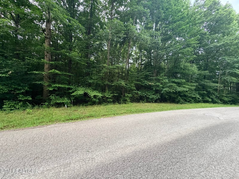 0 Lot 3 Evergreen Dr, Oneida, TN 37841