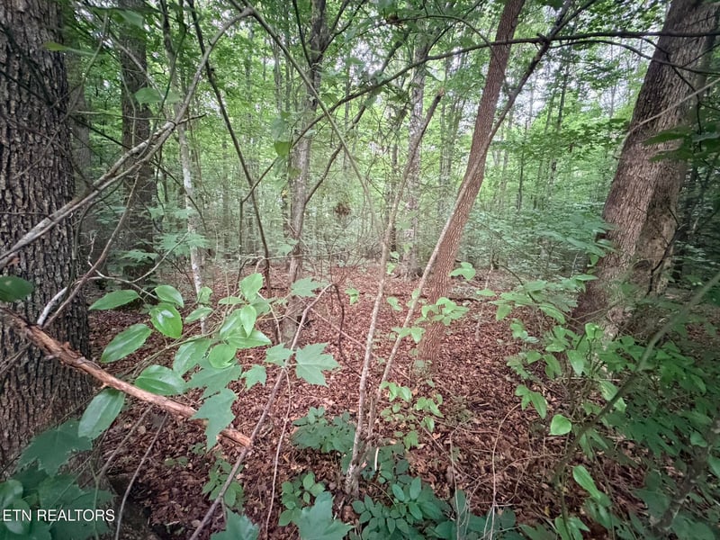 0 Lot 3 Evergreen Dr, Oneida, TN 37841