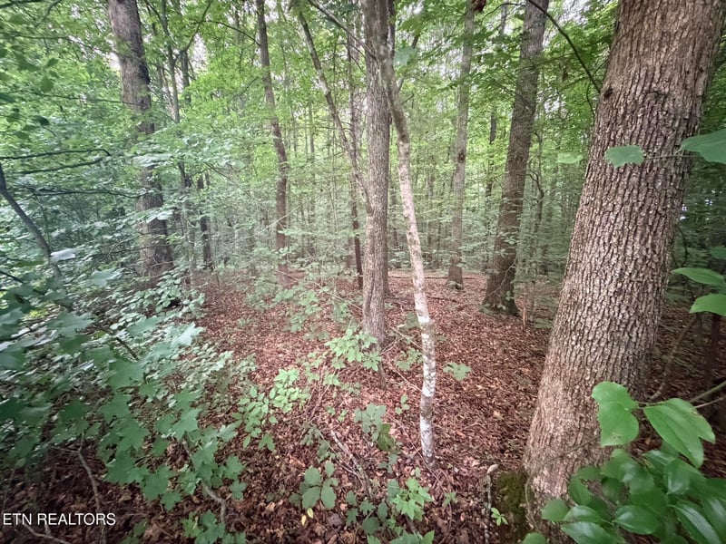 0 Lot 3 Evergreen Dr, Oneida, TN 37841