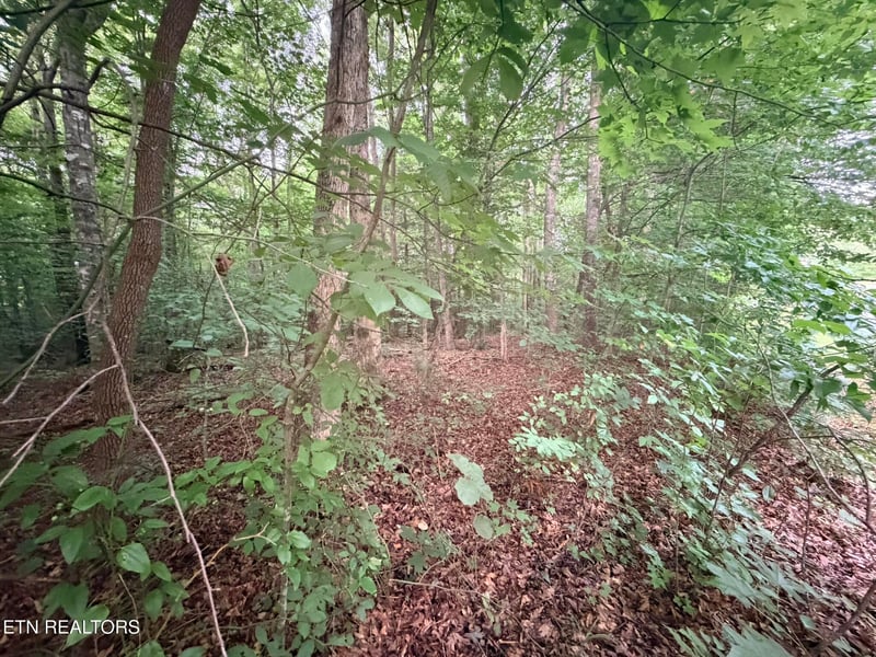 0 Lot 3 Evergreen Dr, Oneida, TN 37841