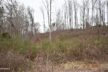 0 Lot 3 Maple Grove Rd, Ten Mile, TN 37880