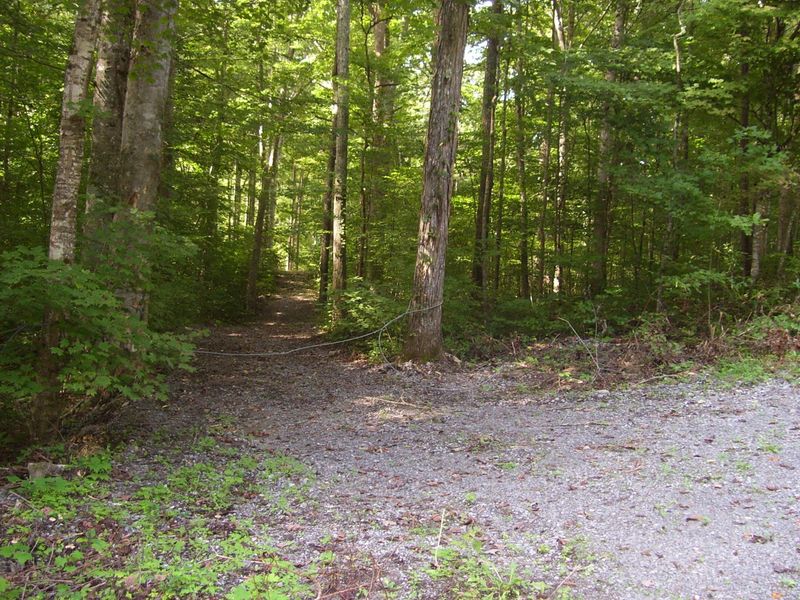 0 Lot 33 Beech Grove Loop, Sharps Chapel, TN 37866
