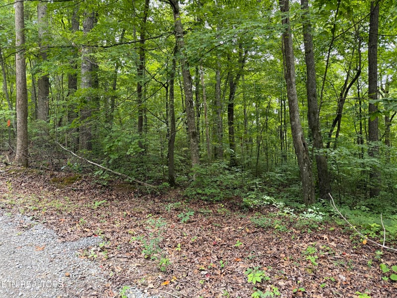 0 Lot 36 Bass Haven Dr, Sharps Chapel, TN 37866