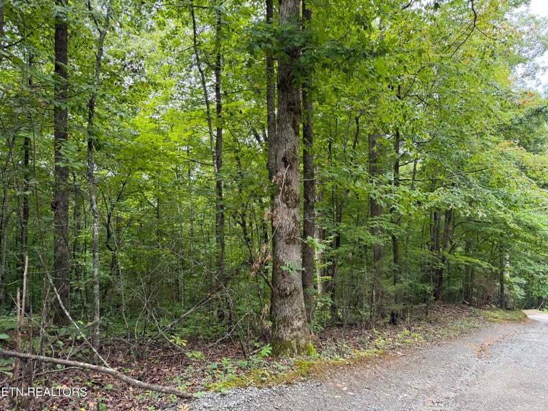 0 Lot 36 Bass Haven Dr, Sharps Chapel, TN 37866