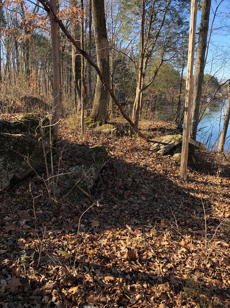 0 Lot 38 Falcon Trl, Vonore, TN 37885