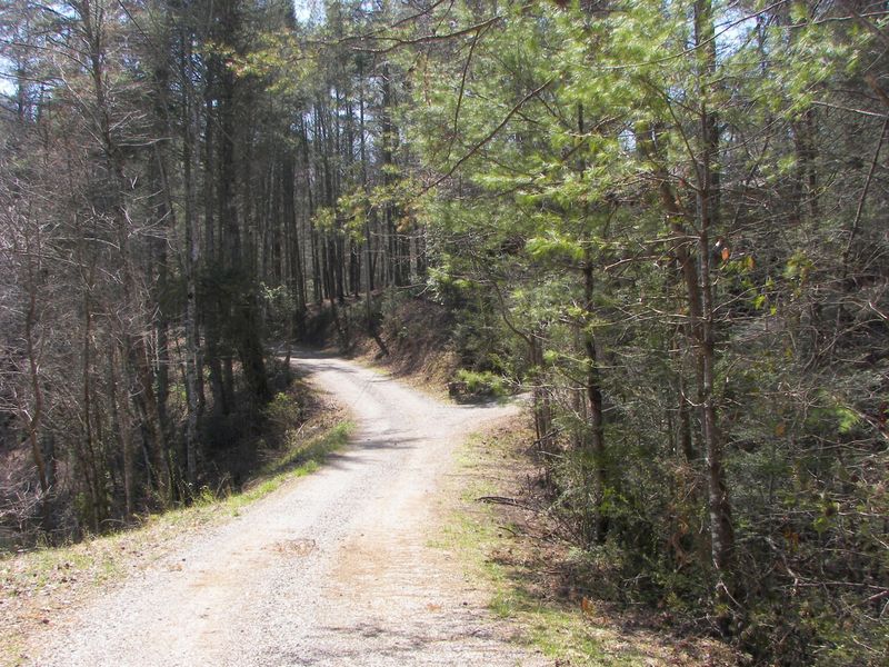 0 Lot 3/walnut Flats Rd, Walland, TN 37886