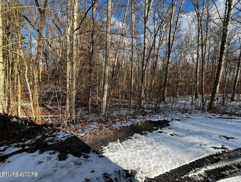 0 Lot 4 Evergreen Dr, Oneida, TN 37841
