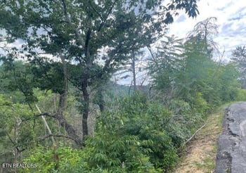 0 Lot 4 River Birch Way, Sevierville, TN 37862