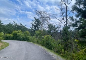 0 Lot 4 River Birch Way, Sevierville, TN 37862