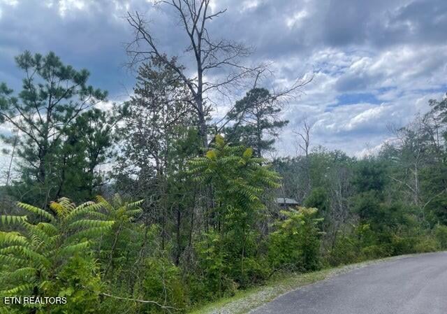 0 Lot 4 River Birch Way, Sevierville, TN 37862