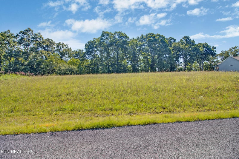 0 Lot 41 Estate Loop Tr, Crossville, TN 38555