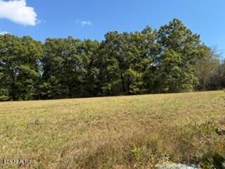 0 Lot 41 Estate Loop Tr, Crossville, TN 38555