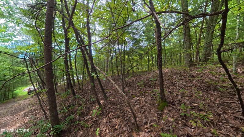 0 Lot 41 Shady Oaks Way, Sevierville, TN 37876