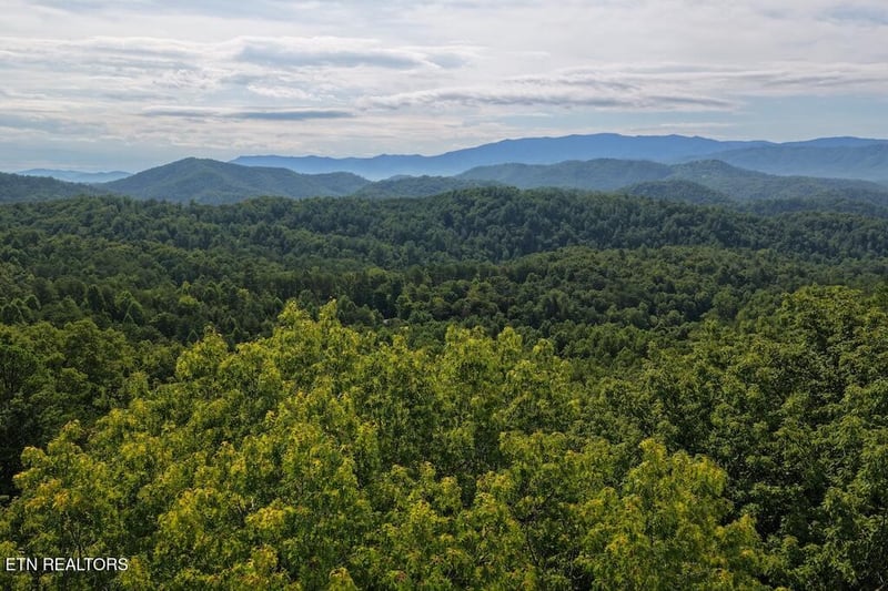 0 Lot 41 Shady Oaks Way, Sevierville, TN 37876