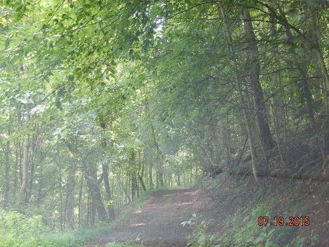 0 Lot 43 Jessee Rd, Maynardville, TN 37807